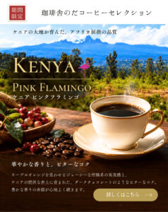 【期間限定】ケニア ピンクフラミンゴが販売開始